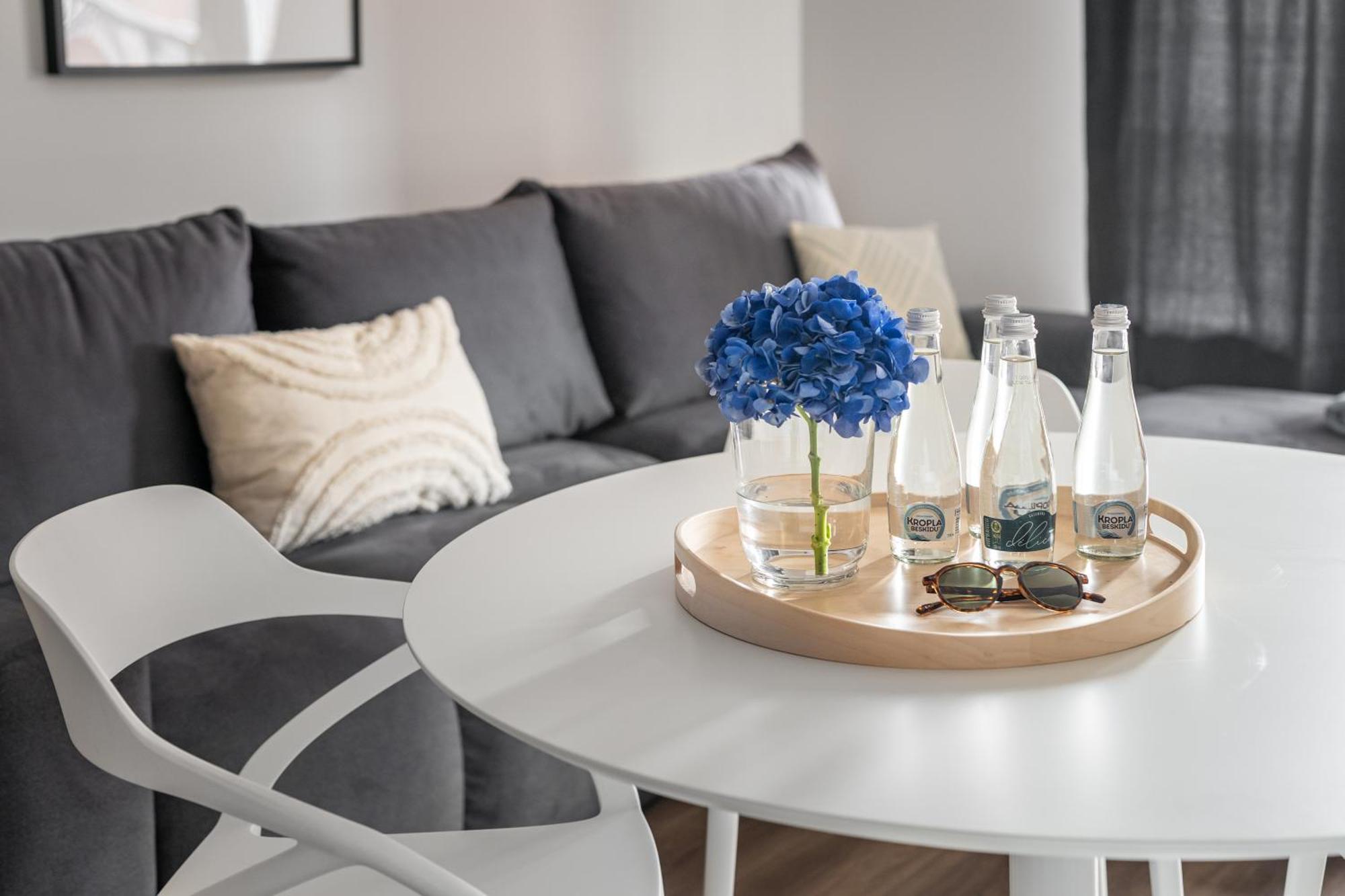 Scala 60C City Center Apartments With Parking By Lion Apartments Gdaňsk Exteriér fotografie